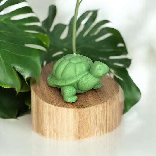 Bougie Tortue | Bougie décorative 🐢