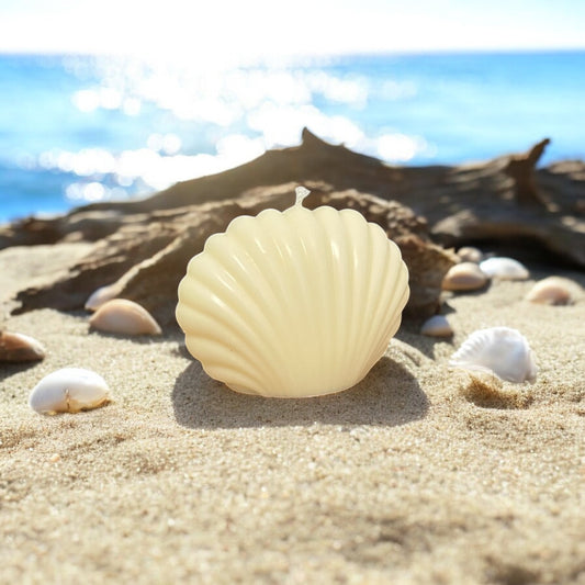 Bougie Coquillage 🐚 | Bougie décorative