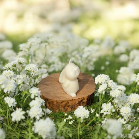 Bougie Lapin | Bougie décorative 🐇🤍