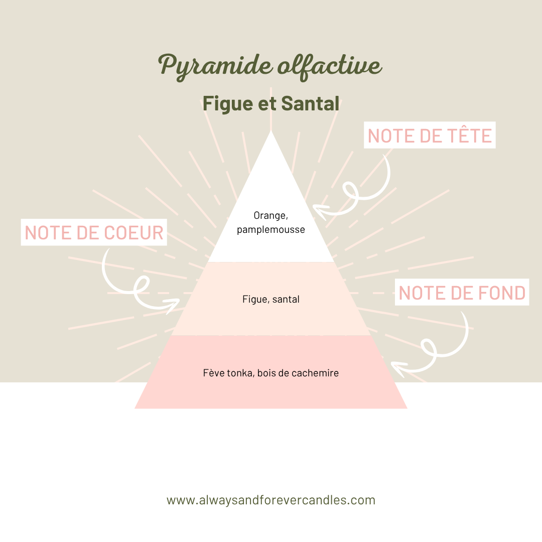 Diffuseur à tiges | Figue et Santal | 100ml