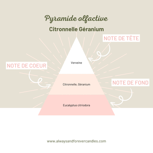 Bougie en pot | Anti-Moustiques - Citronnelle Géranium