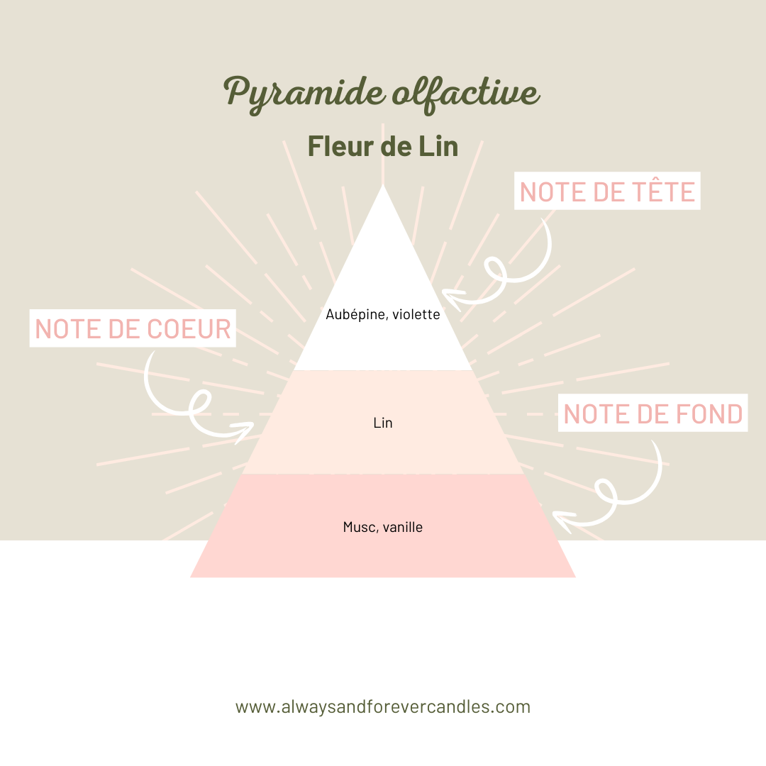 Diffuseur à tiges | Fleur de Lin | 100ml