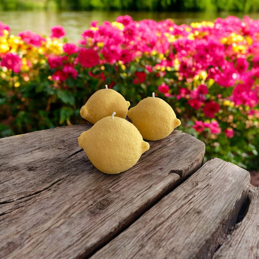 Bougies Citron 🍋 | Bougies décoratives