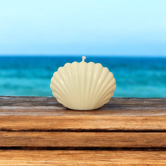 Bougie Coquillage 🐚 | Bougie décorative