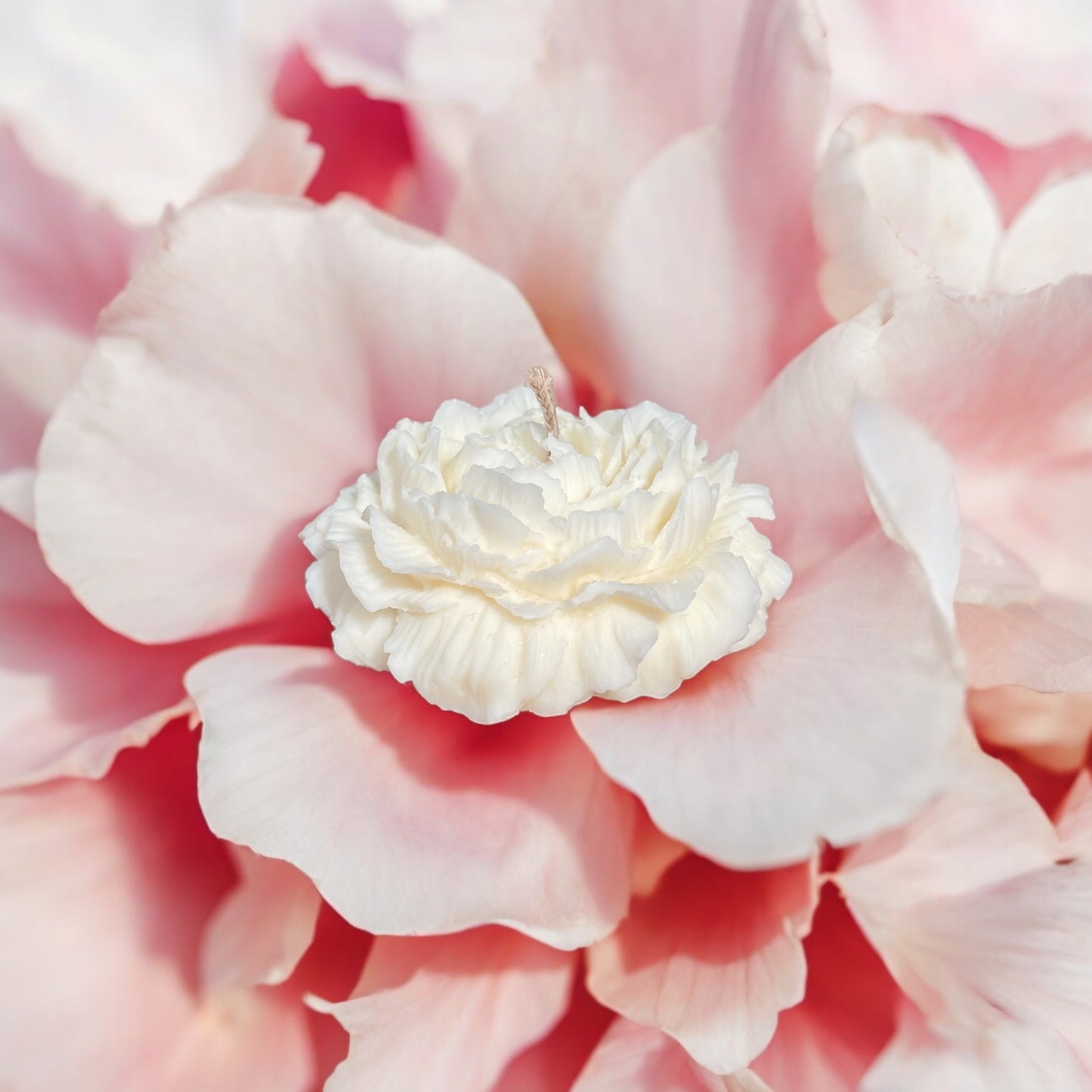 Bougie Pivoine | Bougie décorative