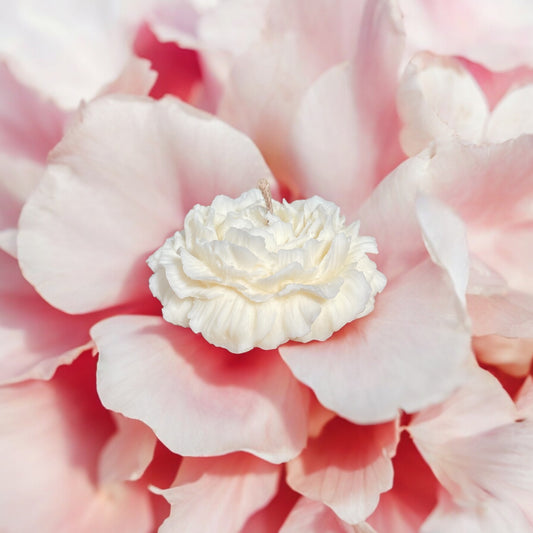 Bougie Pivoine | Bougie décorative