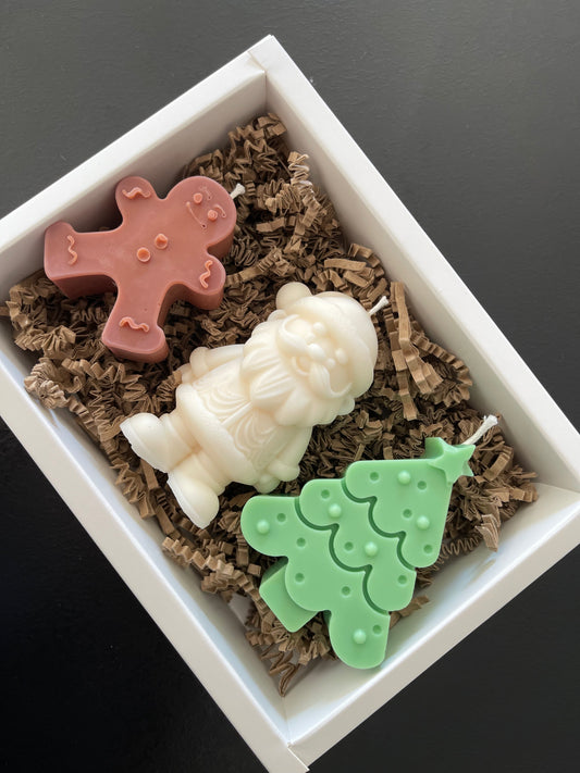 Coffret de Noël | Prêt à offrir | Collection de Noël 🎁