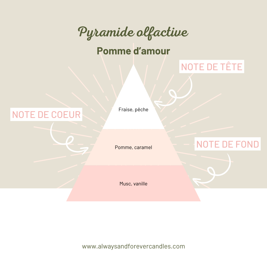 Bougie en pot | Pomme d'amour | Collection de Noël