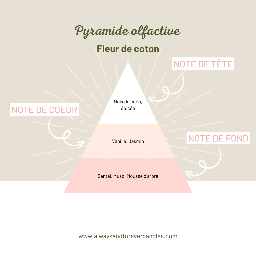 Bougie en pot | Fleur de coton